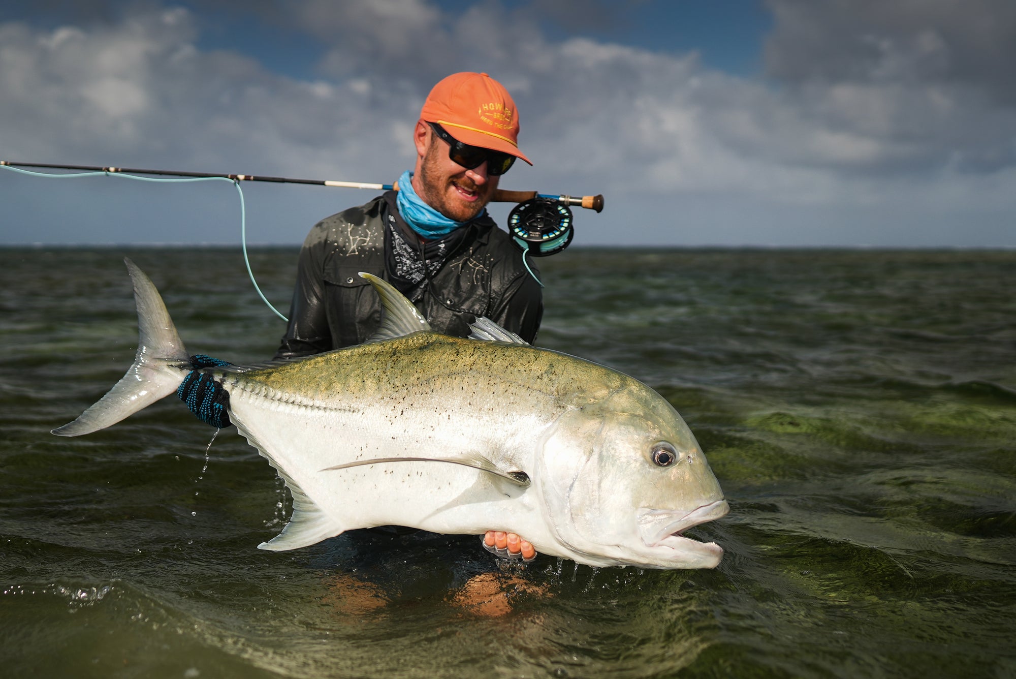 50+ Series Giant Trevally