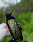 Closeup shot of a hand holding a Cortland Fly Rod. The reel is lined with Euro Nymph Braid Core and there is a large bug on the reel.