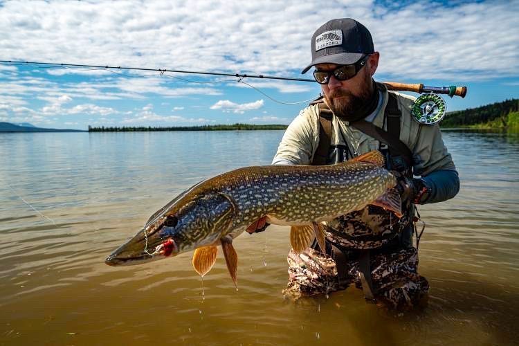 Angler is standing in knee high water and holding up a musky