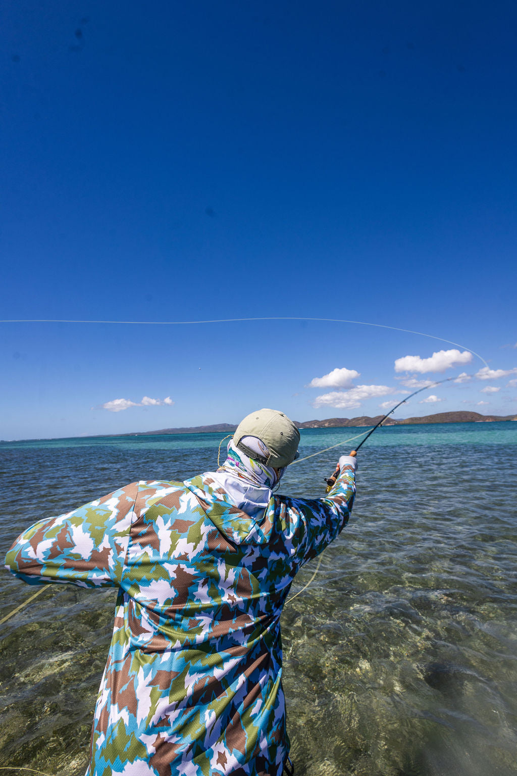 Tarpon