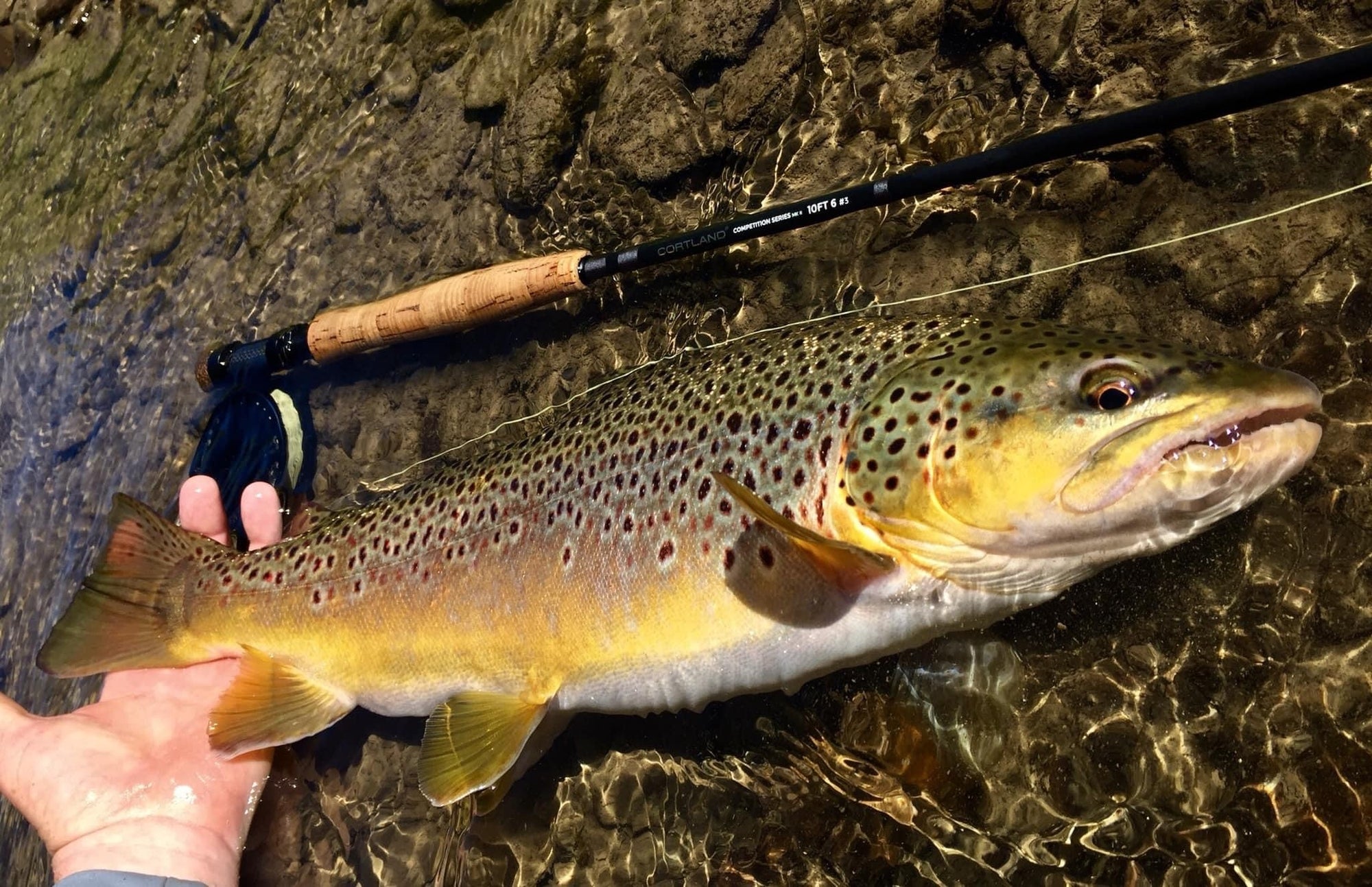 Competition MKII Series Fly Rod - Euro Style Nymphing