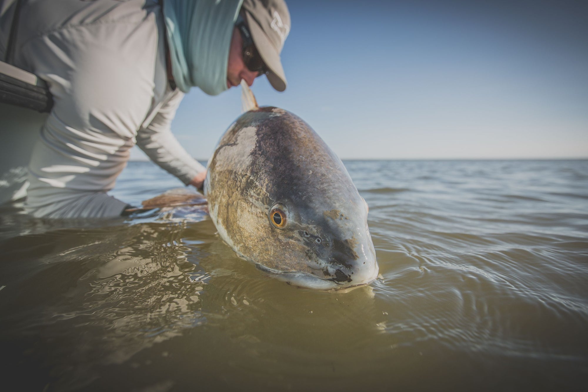 An angler is leaning over a boat and holding up a redfish just above the water. 